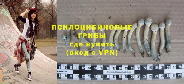 гидропоника Алексин