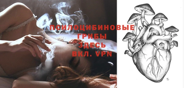 спиды Алексеевка