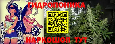гашик Брянск