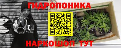 стаф Братск