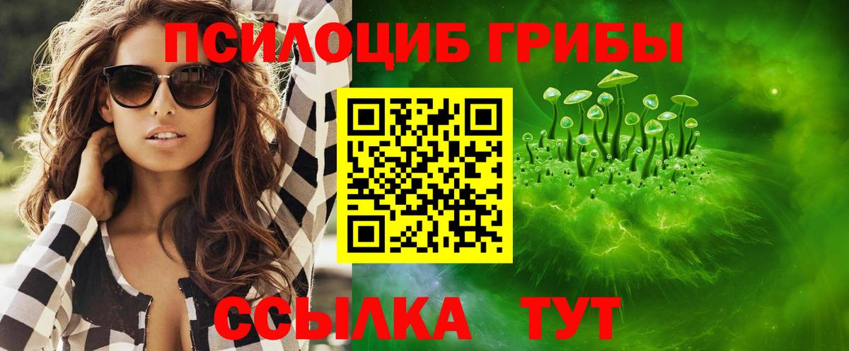 Асино  как найти наркотики  Вход с VPN  Галлюциногенные грибы мицелий 
