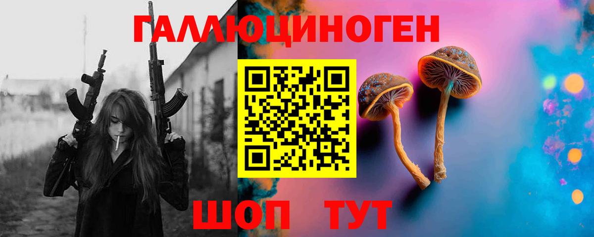 Псилоцибиновые грибы Psilocybe Асино