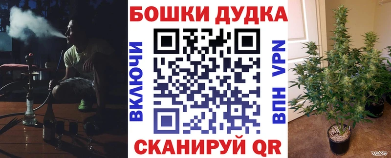 мега зеркало Асино мориарти формула дарнет шоп Шишки марихуана VHQ