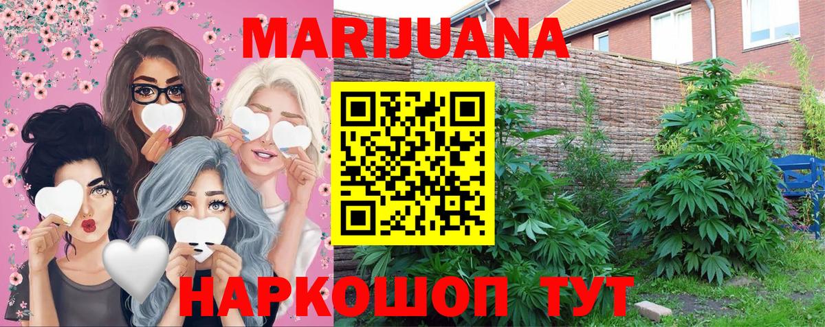 Шишки марихуана THC 21%  Вход с VPN  Асино  Шишки марихуана VHQ 
